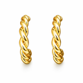 Women's Party Wear Earrings