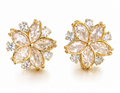 Elegant Hoop Earrings
