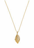 Designer Necklace for Party and Festive Occasions